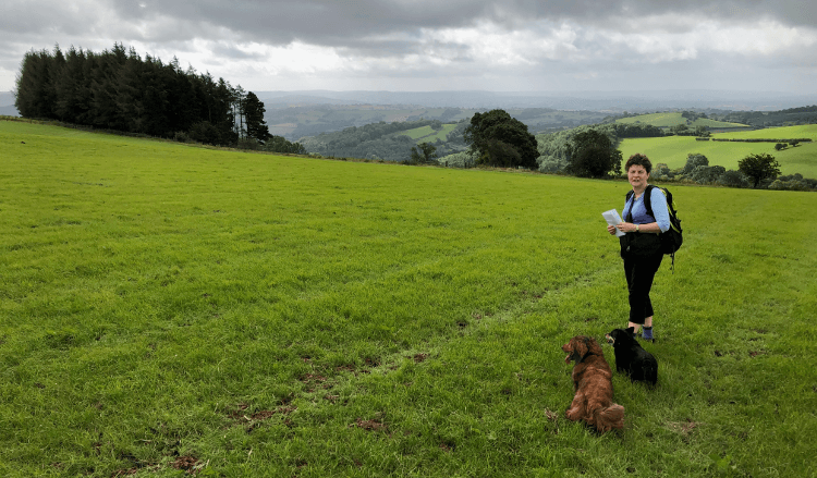 Walking together with the dogs